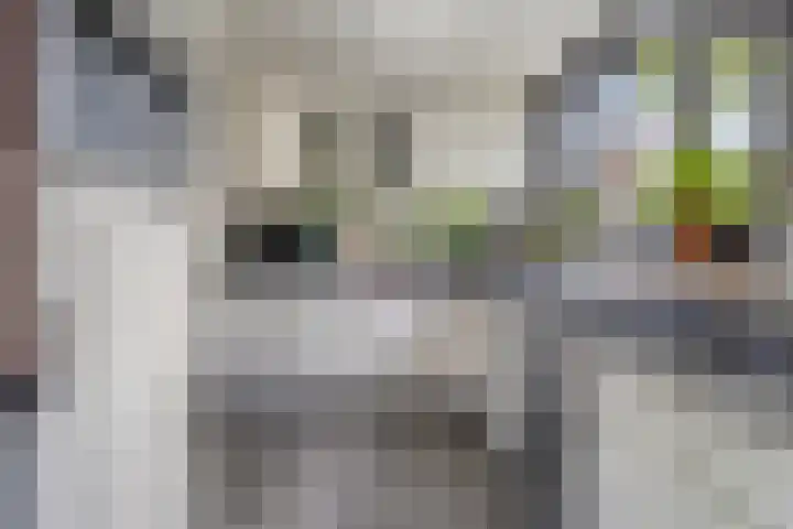 Raadhuisstraat 6 Landsmeer thumbnail 29