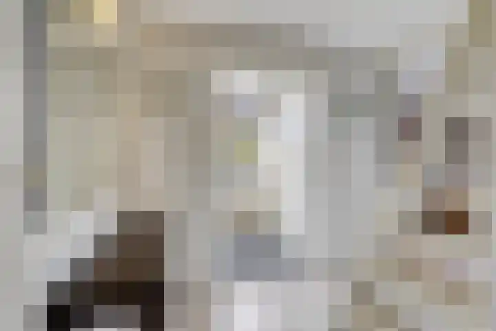 Raadhuisstraat 6 Landsmeer thumbnail 35