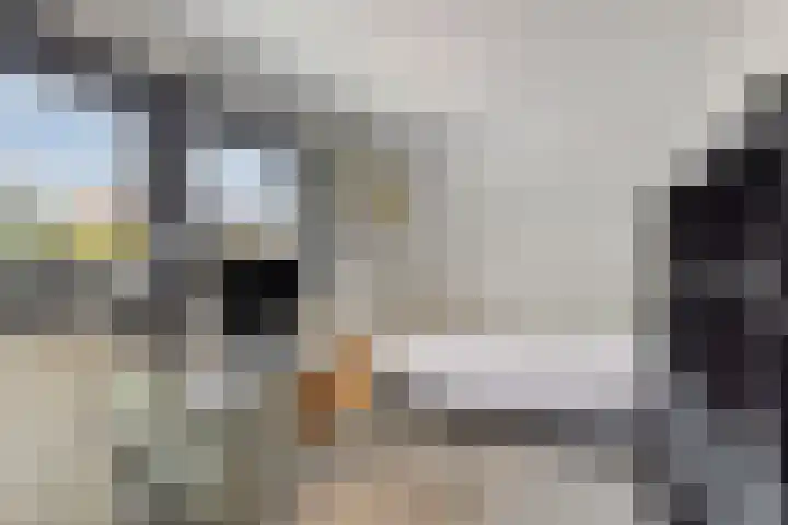 Raadhuisstraat 6 Landsmeer thumbnail 43