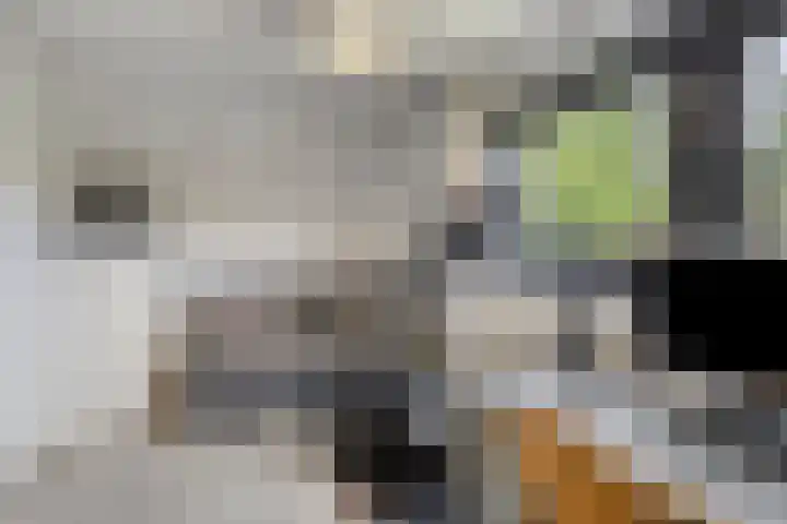 Raadhuisstraat 6 Landsmeer thumbnail 44