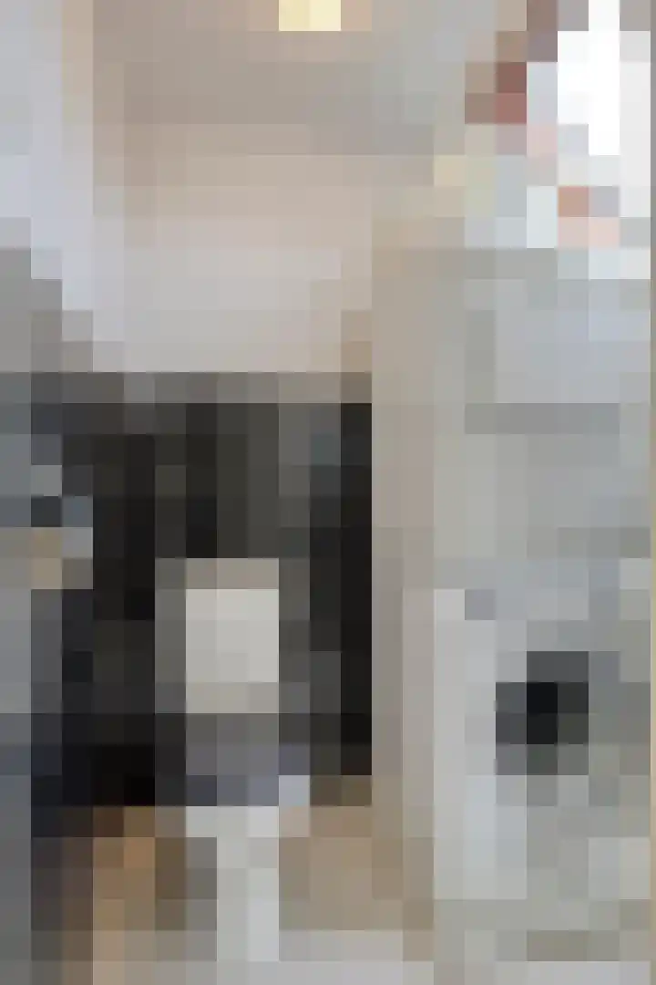 Raadhuisstraat 6 Landsmeer thumbnail 46