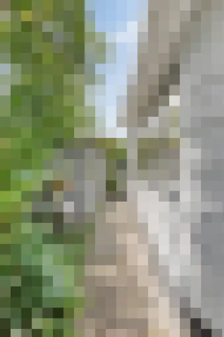 Raadhuisstraat 6 Landsmeer thumbnail 5