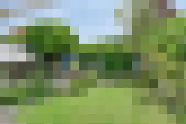 Raadhuisstraat 6 Landsmeer thumbnail 52