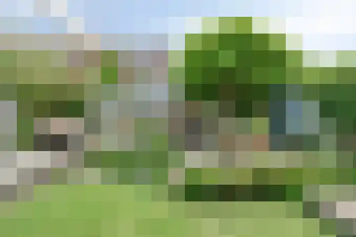 Raadhuisstraat 6 Landsmeer thumbnail 55