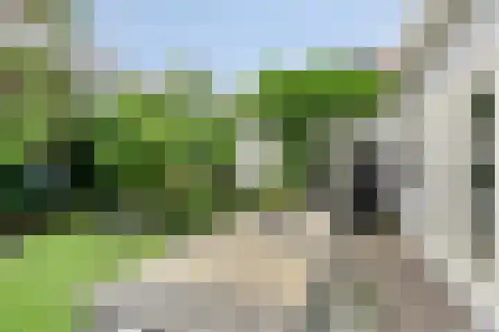 Raadhuisstraat 6 Landsmeer thumbnail 57