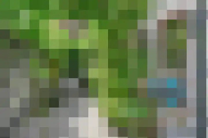 Raadhuisstraat 6 Landsmeer thumbnail 58