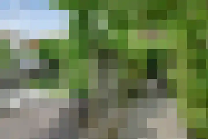 Raadhuisstraat 6 Landsmeer thumbnail 59