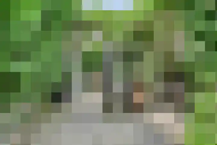 Raadhuisstraat 6 Landsmeer thumbnail 61