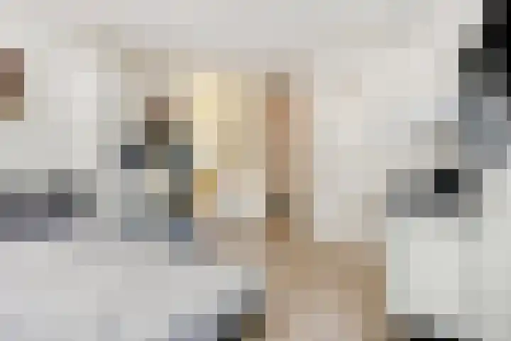 Raadhuisstraat 6 Landsmeer thumbnail 64
