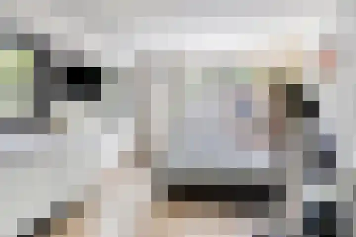 Raadhuisstraat 6 Landsmeer thumbnail 65