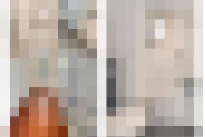 Raadhuisstraat 6 Landsmeer thumbnail 7