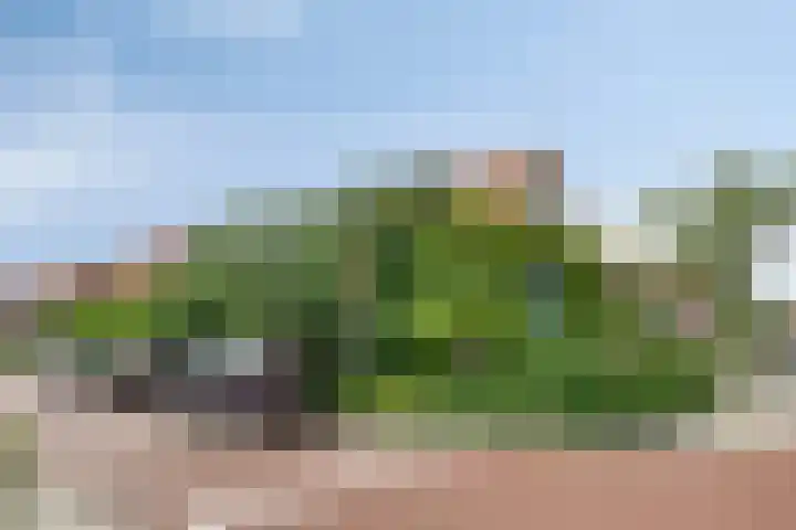 Raadhuisstraat 6 Landsmeer thumbnail 76