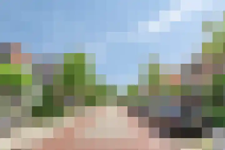 Raadhuisstraat 6 Landsmeer thumbnail 77