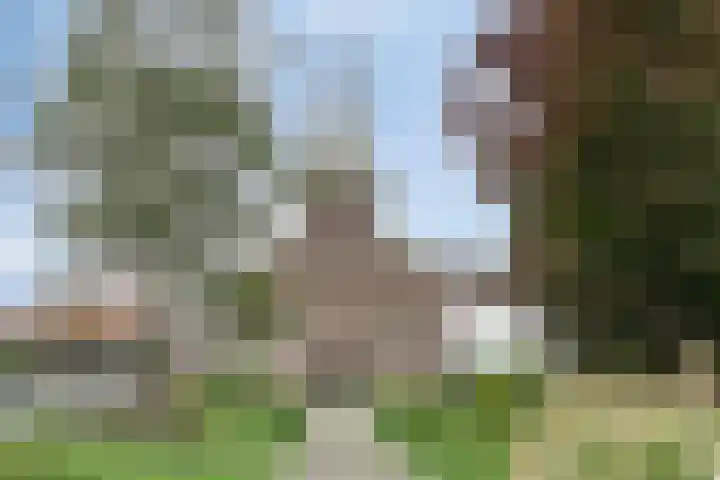 Raadhuisstraat 6 Landsmeer thumbnail 79