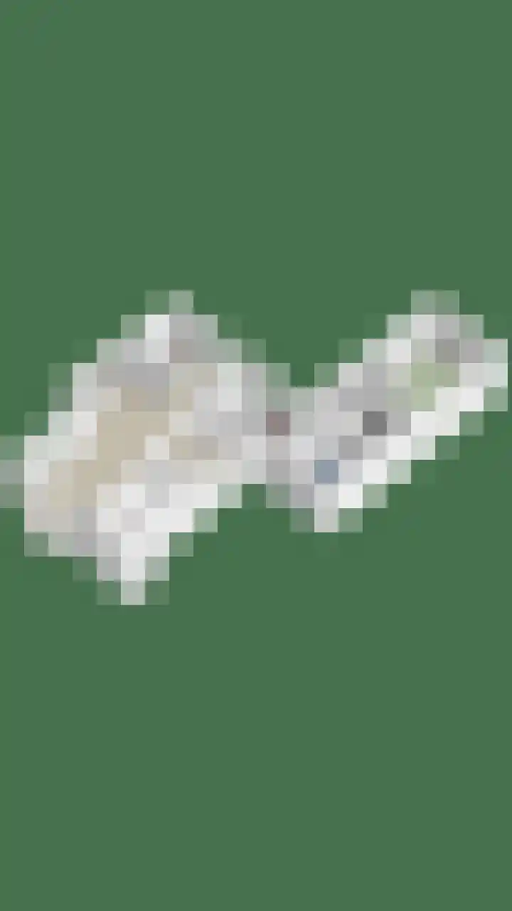 Raadhuisstraat 6 Landsmeer thumbnail 88