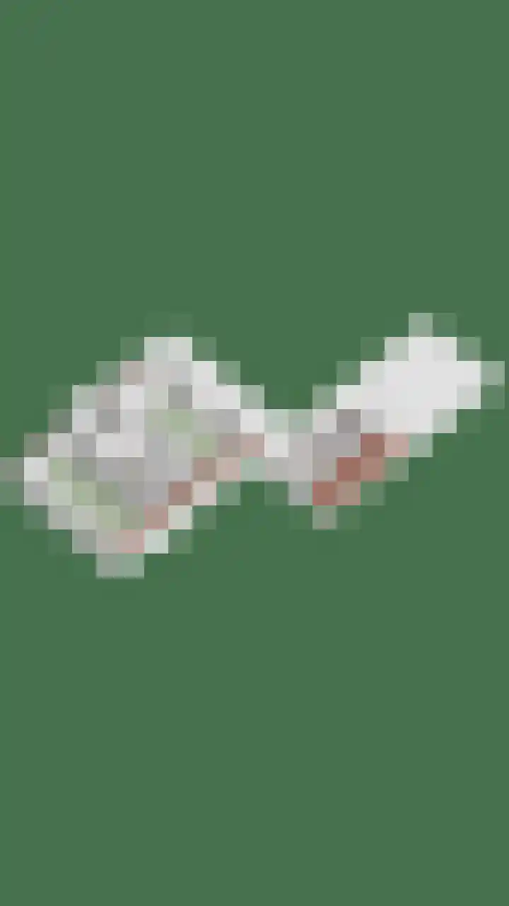 Raadhuisstraat 6 Landsmeer thumbnail 89