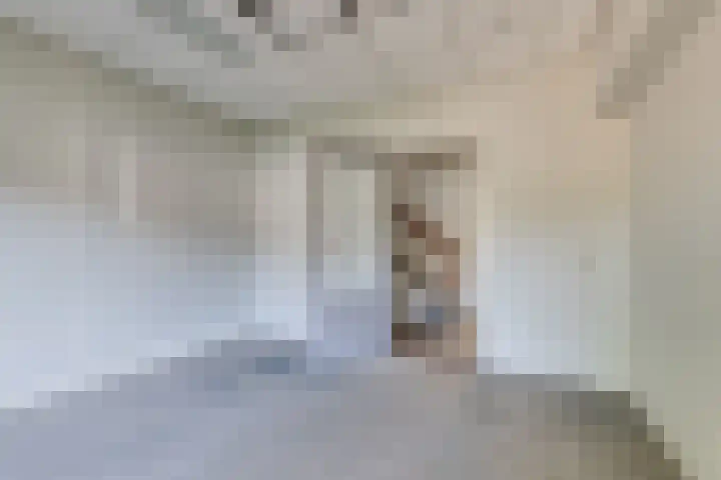 Raadhuisstraat 6 Lichtenvoorde thumbnail 14