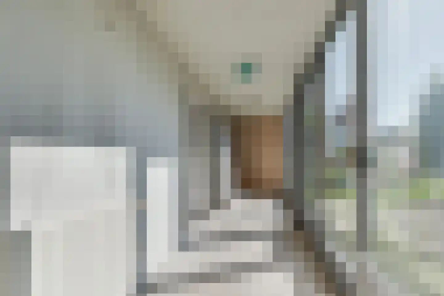Raadhuisstraat 6 Lichtenvoorde thumbnail 18
