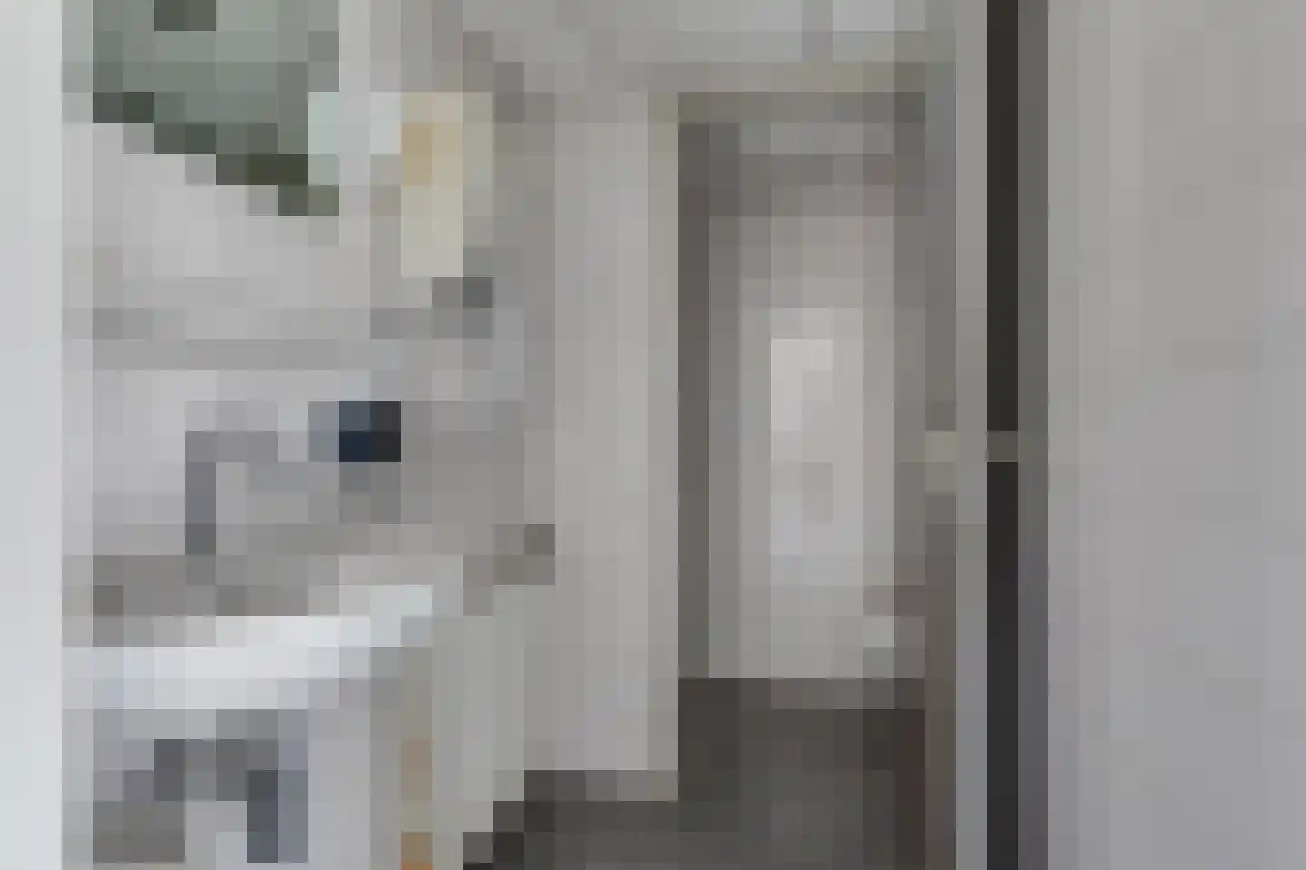 Raadhuisstraat 6 Lichtenvoorde thumbnail 21