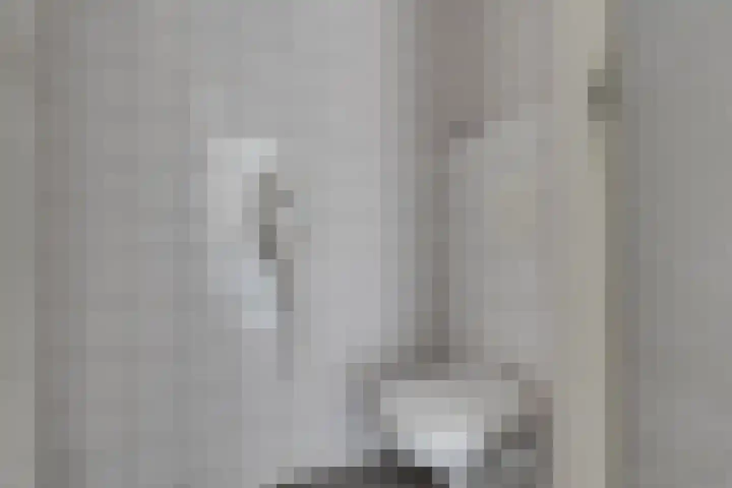 Raadhuisstraat 6 Lichtenvoorde thumbnail 22