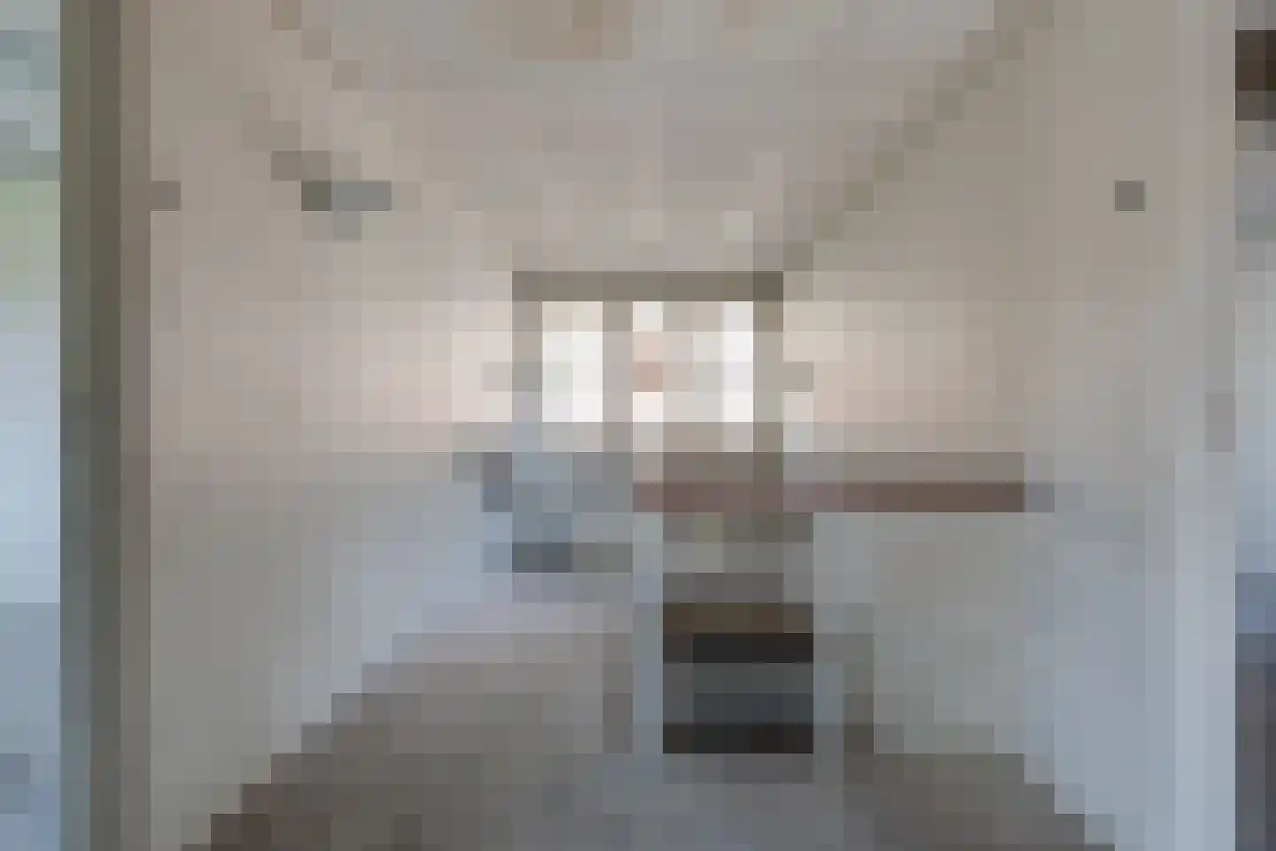 Raadhuisstraat 6 Lichtenvoorde thumbnail 25