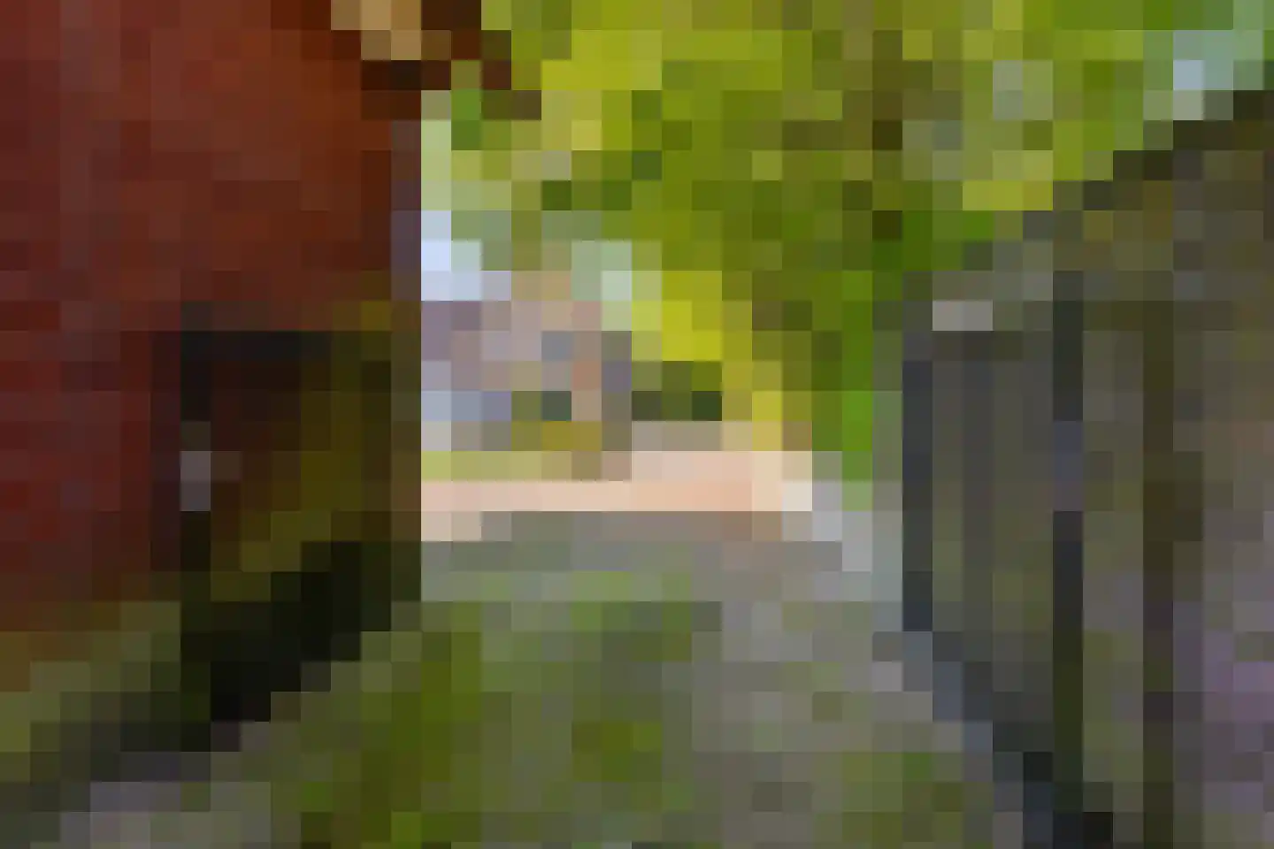 Raadhuisstraat 6 Lichtenvoorde thumbnail 32