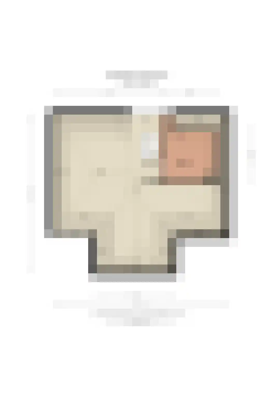 Raadhuisstraat 6 Lichtenvoorde thumbnail 47