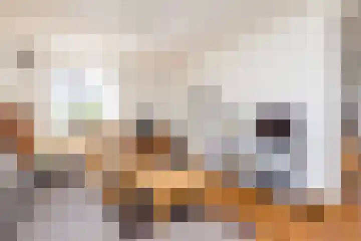 Raadhuisstraat 6 Oirsbeek thumbnail 10