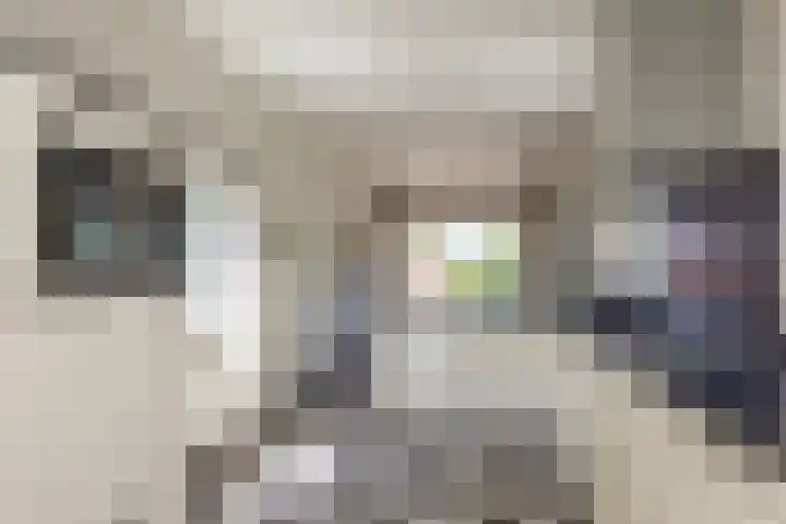 Raadhuisstraat 6 Oirsbeek thumbnail 15