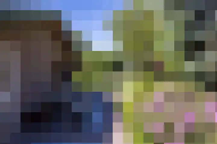 Raadhuisstraat 6 Oirsbeek thumbnail 38