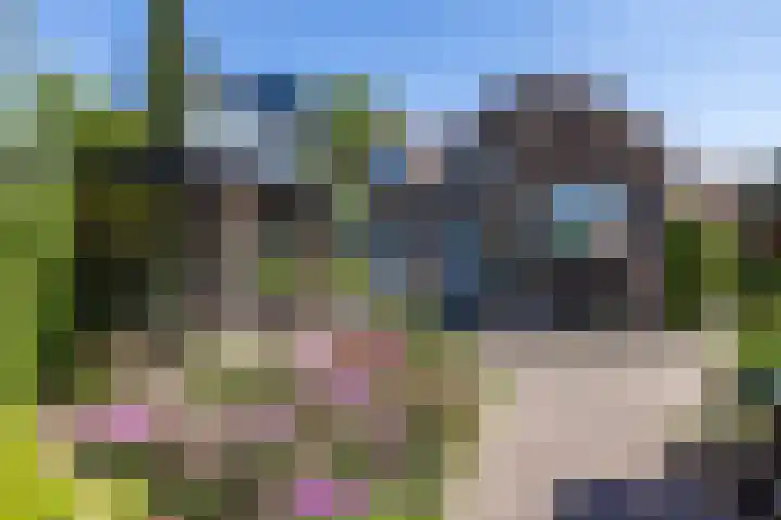 Raadhuisstraat 6 Oirsbeek thumbnail 41
