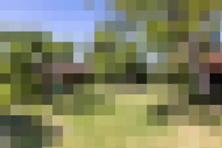 Raadhuisstraat 6 Oirsbeek thumbnail 43