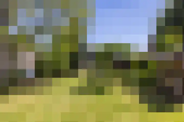 Raadhuisstraat 6 Oirsbeek thumbnail 44