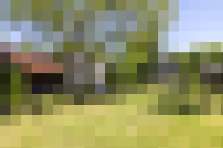 Raadhuisstraat 6 Oirsbeek thumbnail 45