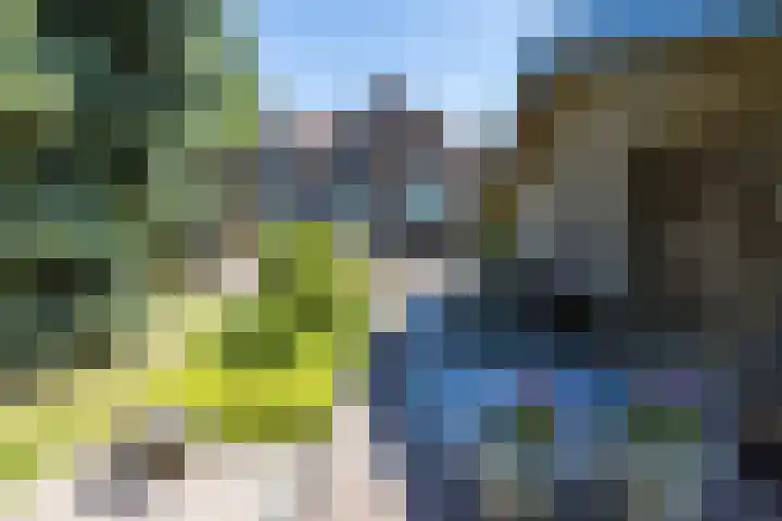 Raadhuisstraat 6 Oirsbeek thumbnail 49