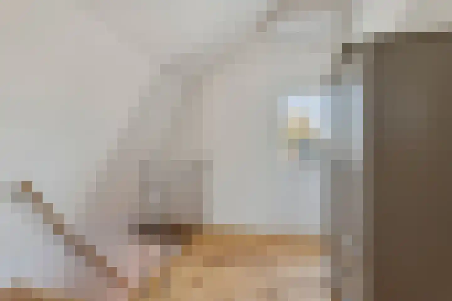 Raadhuisstraat 60 Rucphen thumbnail 14