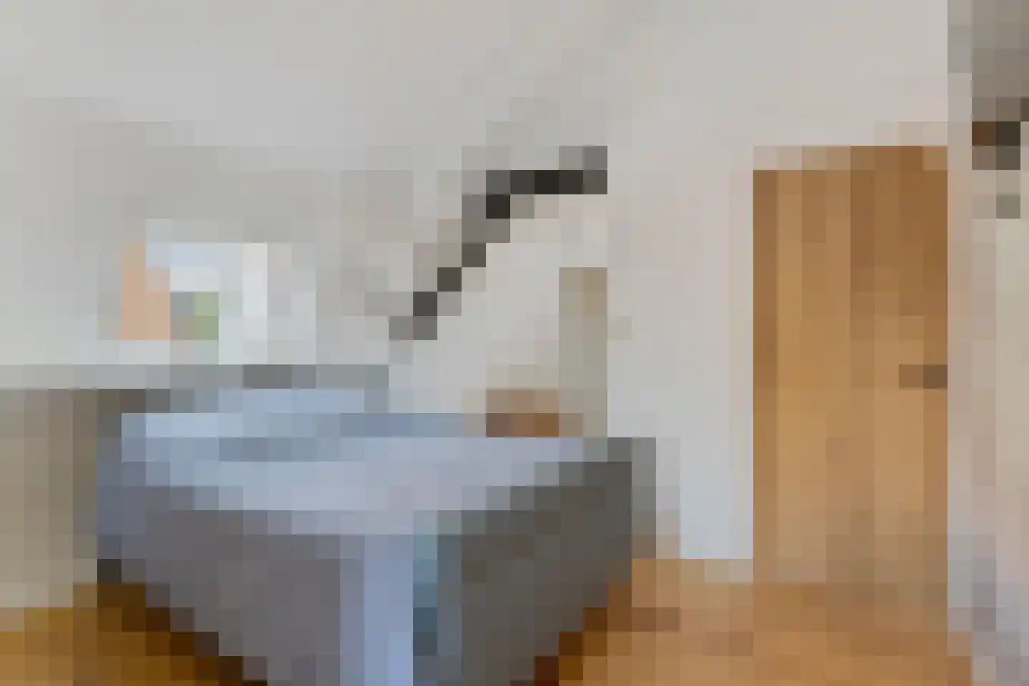 Raadhuisstraat 60 Rucphen thumbnail 16