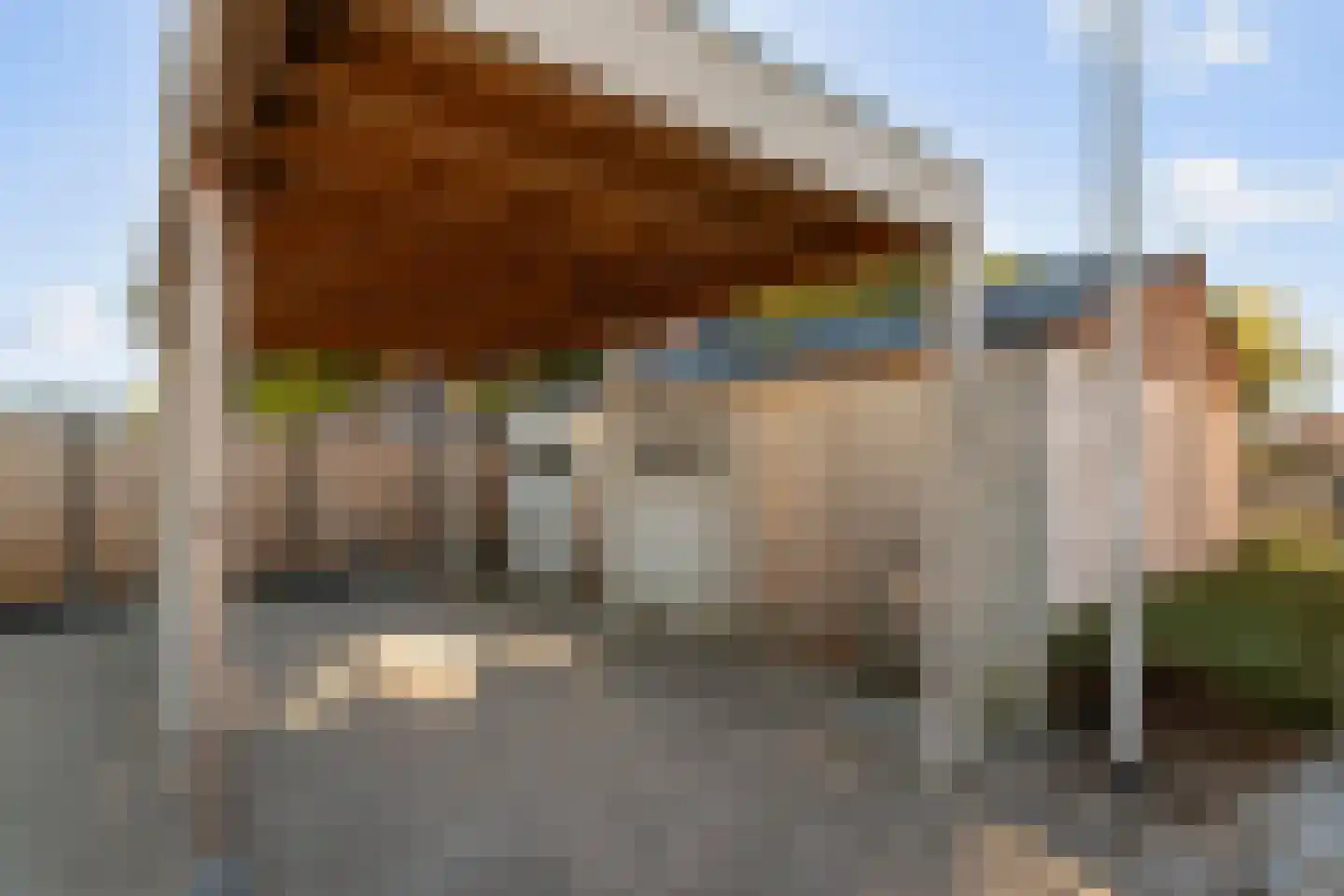 Raadhuisstraat 60 Rucphen thumbnail 24