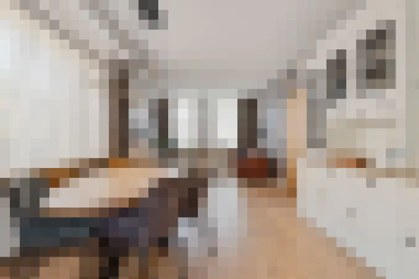 Raadhuisstraat 60 Rucphen thumbnail 6