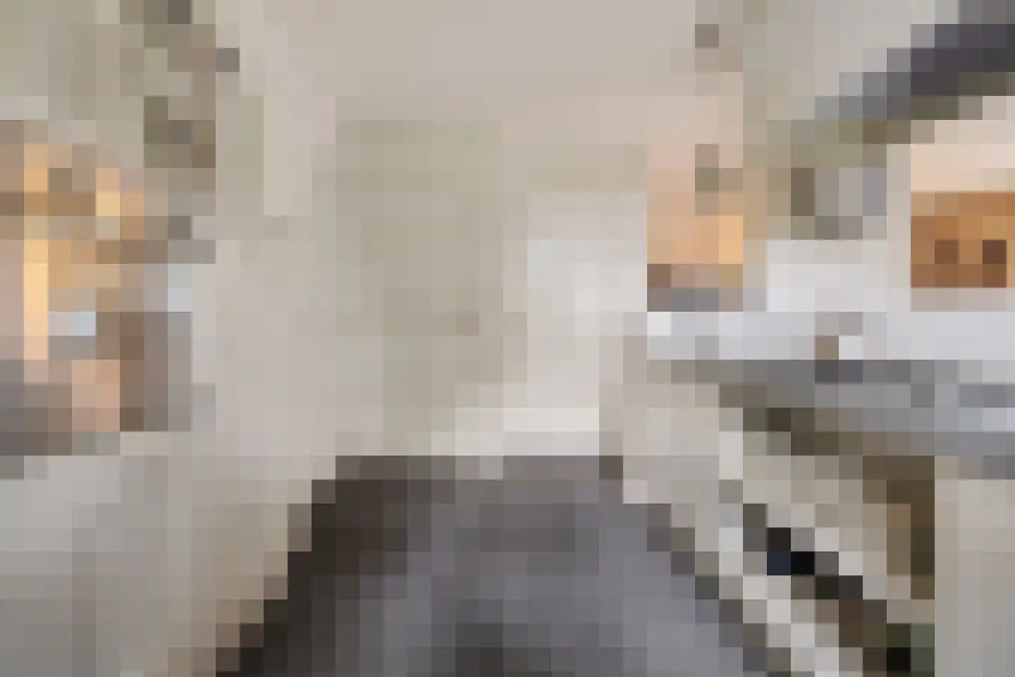 Raadhuisstraat 62 Berkel-Enschot thumbnail 16