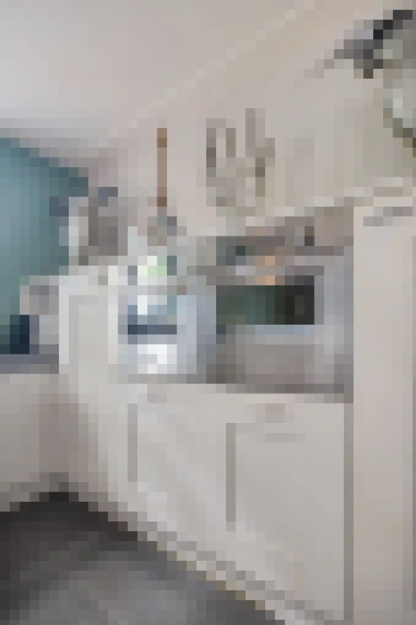 Raadhuisstraat 62 Berkel-Enschot thumbnail 17