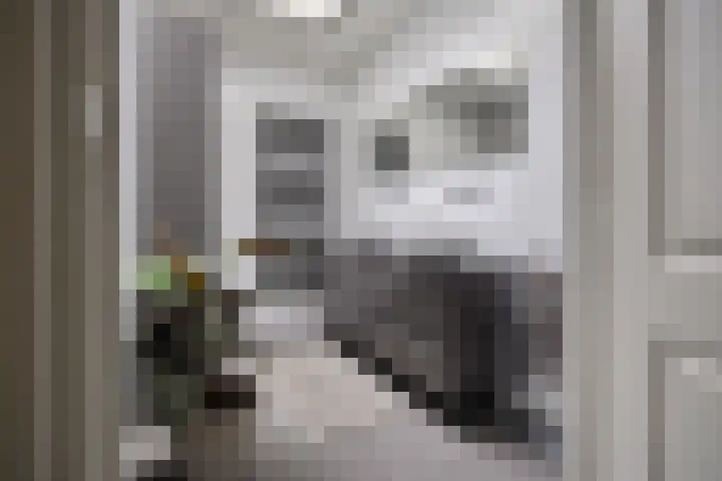 Raadhuisstraat 62 Berkel-Enschot thumbnail 20