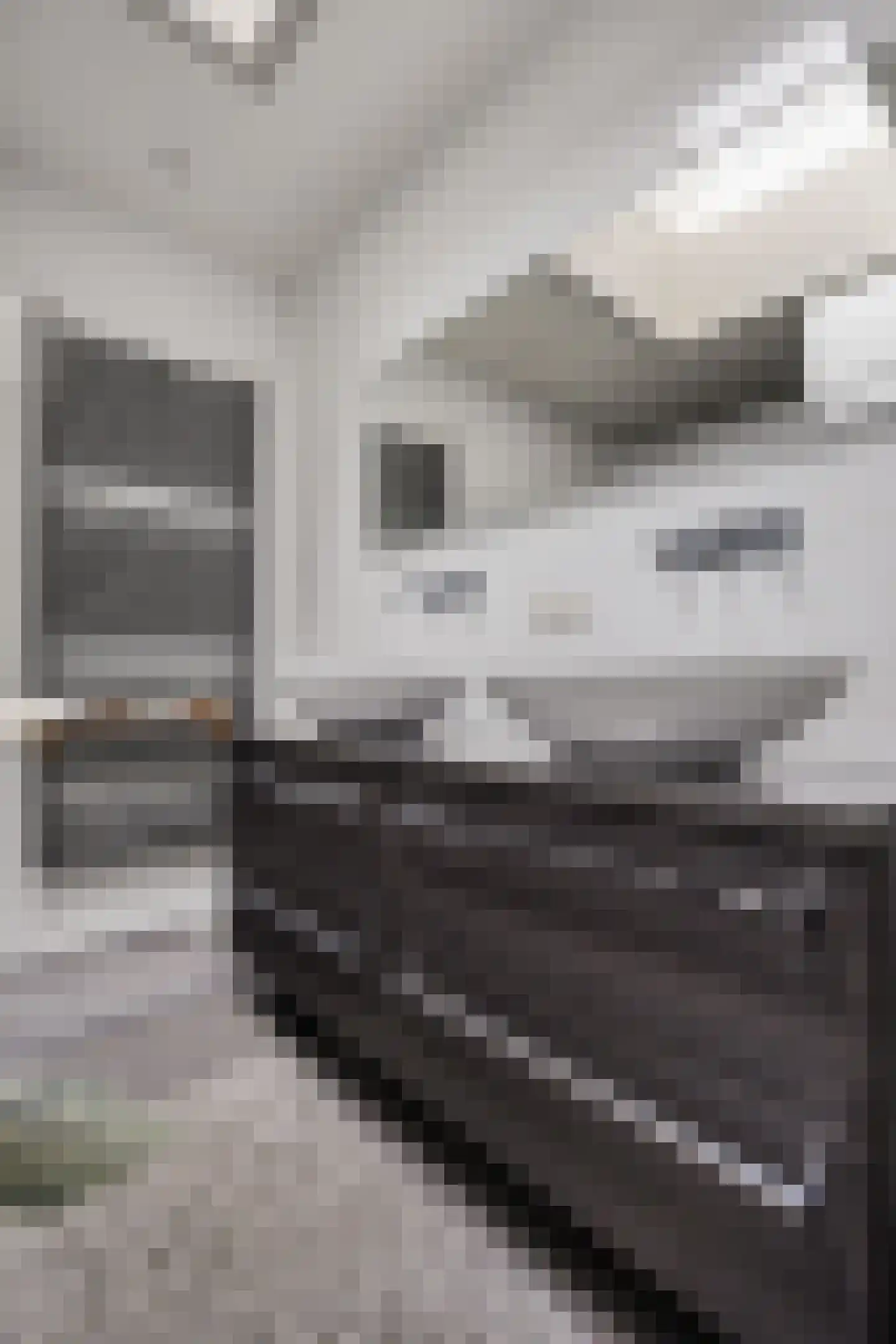 Raadhuisstraat 62 Berkel-Enschot thumbnail 21