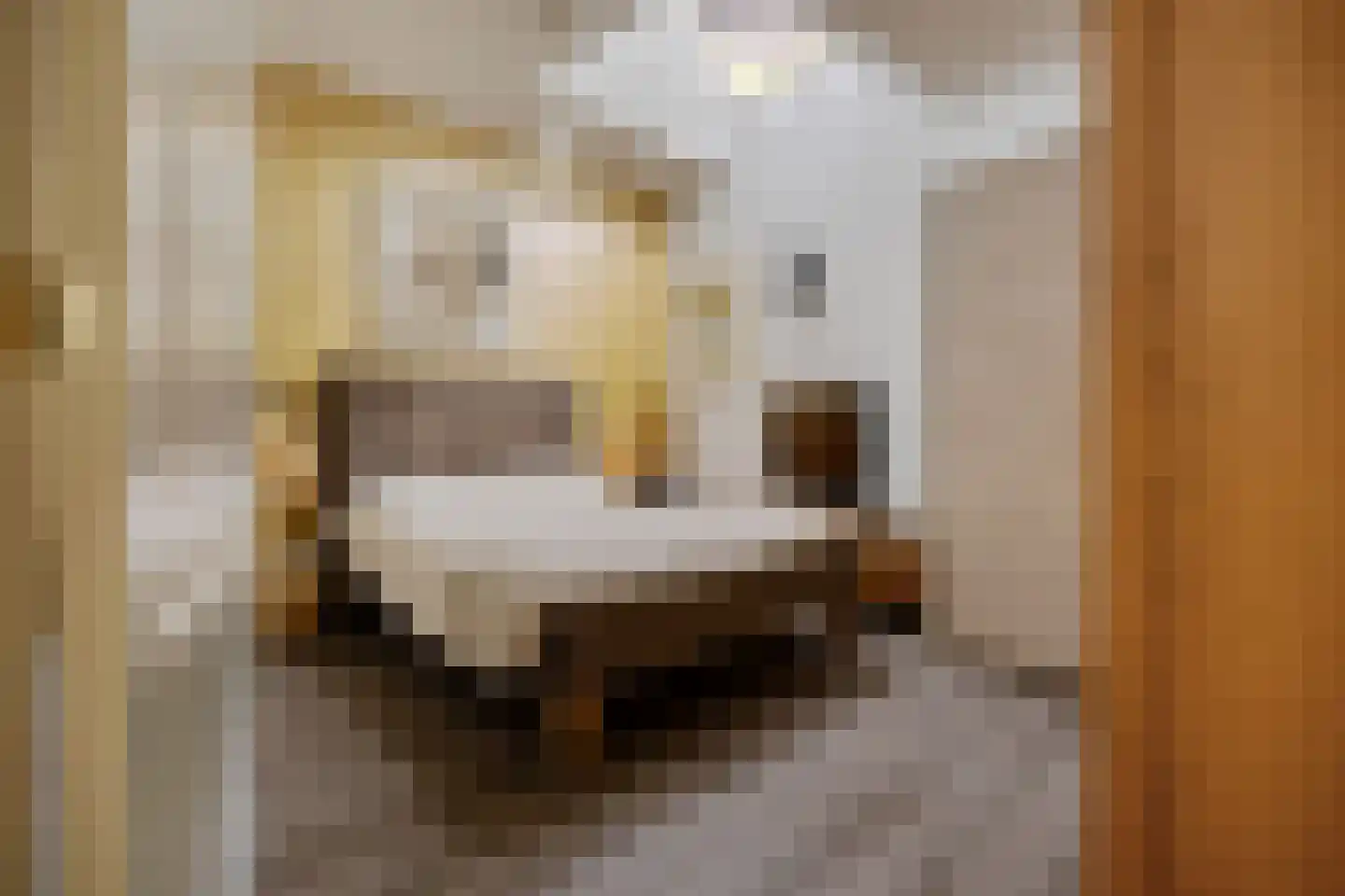 Raadhuisstraat 62 Berkel-Enschot thumbnail 25