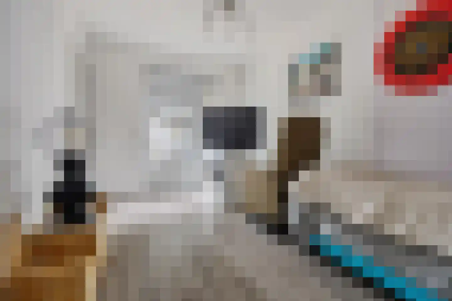 Raadhuisstraat 62 Berkel-Enschot thumbnail 28
