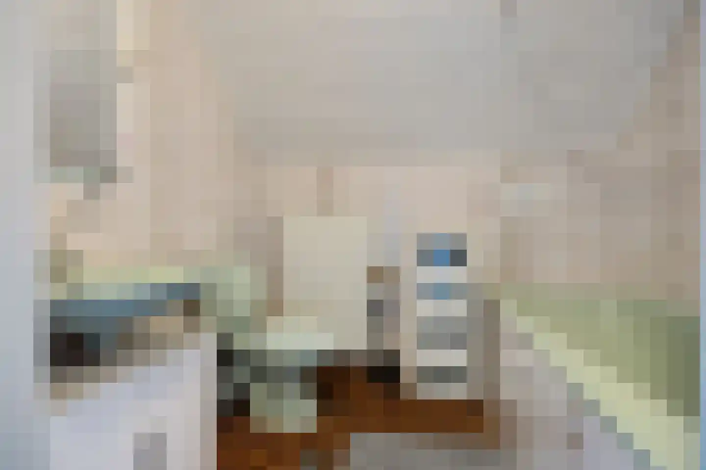 Raadhuisstraat 62 Berkel-Enschot thumbnail 36