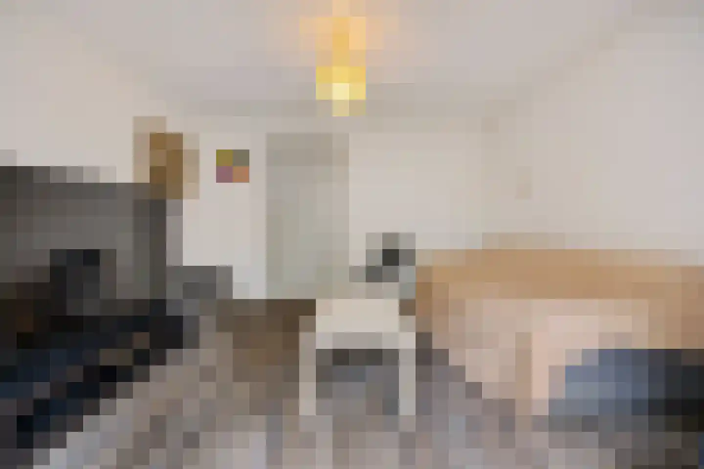 Raadhuisstraat 62 Berkel-Enschot thumbnail 38