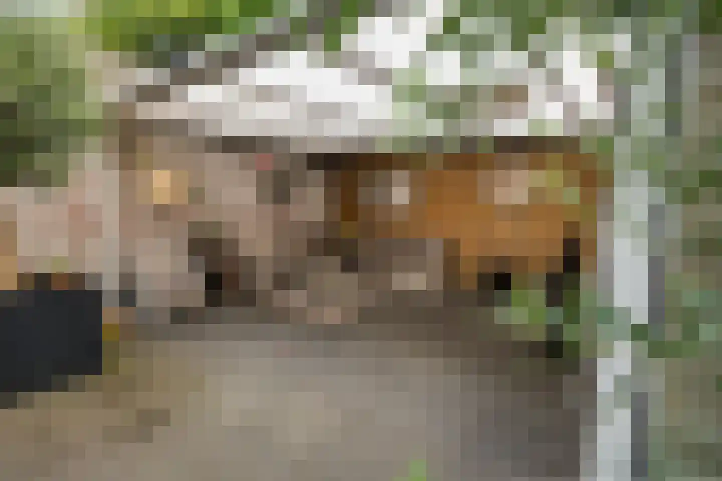 Raadhuisstraat 62 Berkel-Enschot thumbnail 47