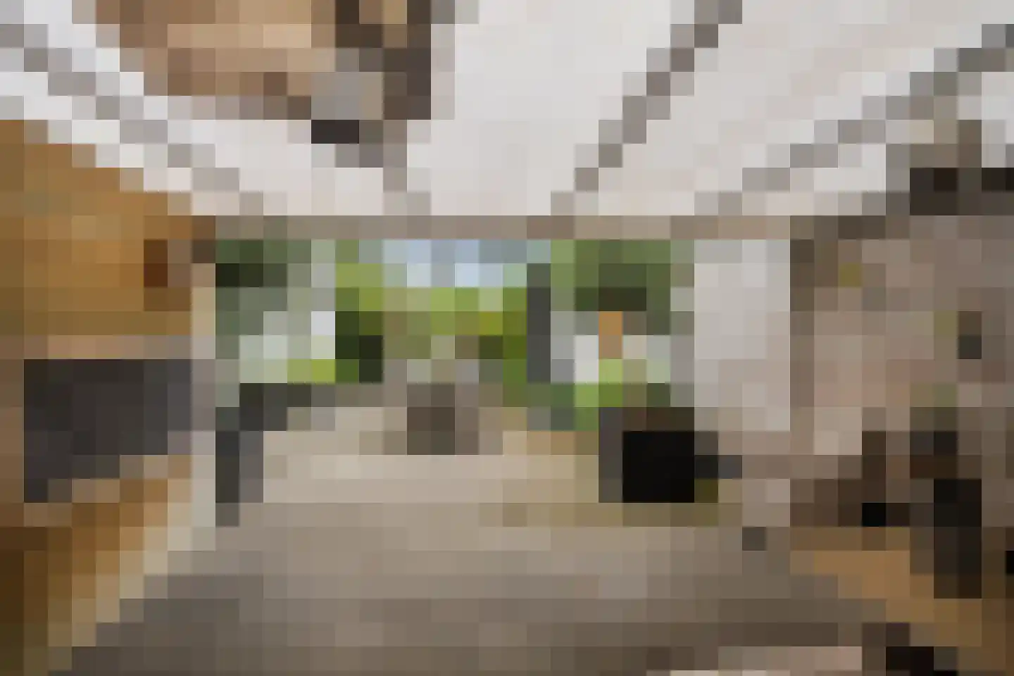 Raadhuisstraat 62 Berkel-Enschot thumbnail 49