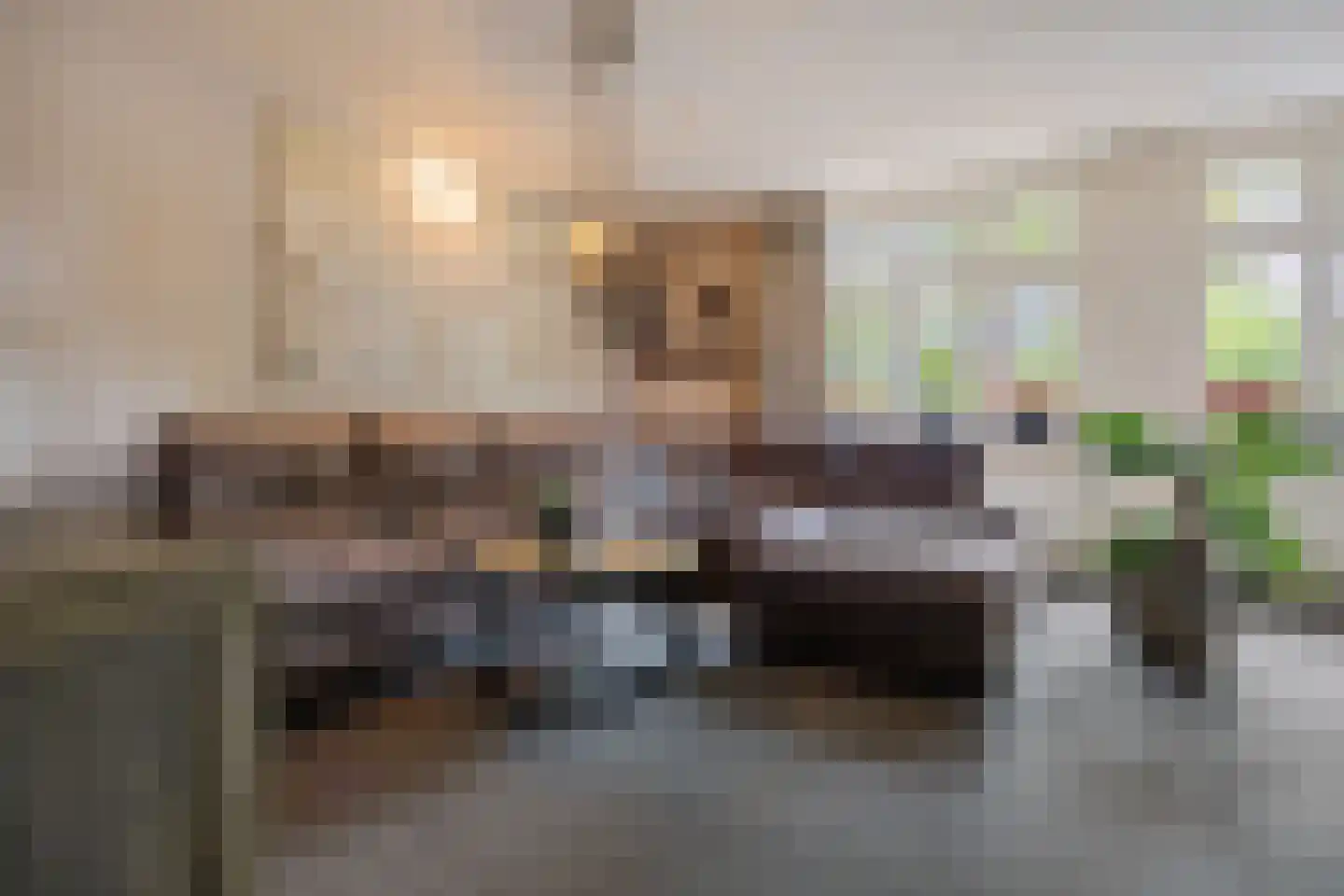 Raadhuisstraat 62 Berkel-Enschot thumbnail 8